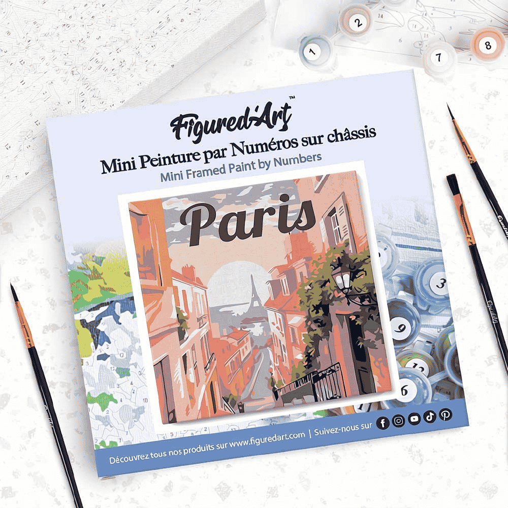 PBN MINI PARIS
